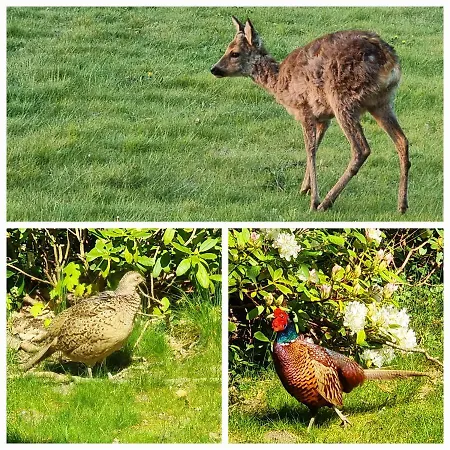 Thuers Im Busch - Gute Stube - Ab 3 Naechte - Mit Stil In Lägenhet *