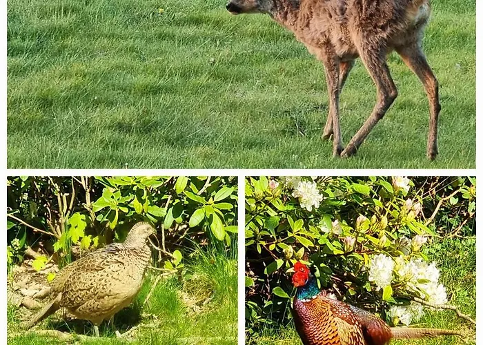 Thuers Im Busch - Gute Stube - Ab 3 Naechte - Mit Stil In Apartament *