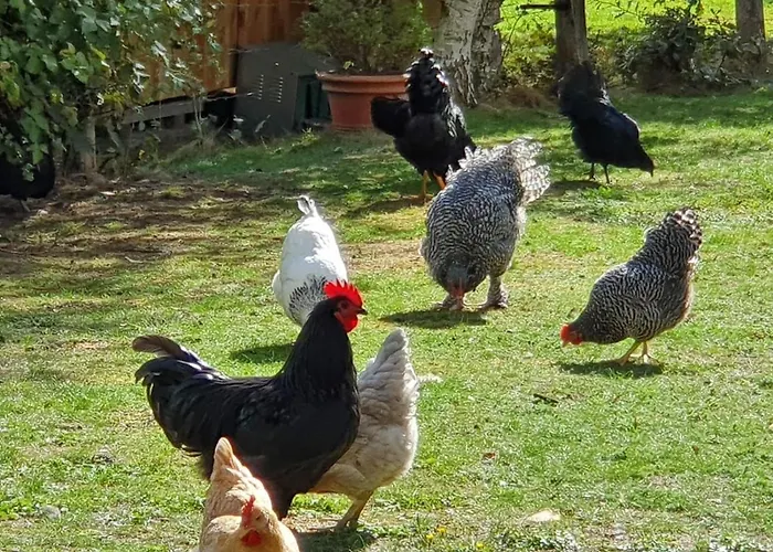 Thuers Im Busch - Gute Stube - Ab 3 Naechte - Mit Stil In Munster (North Rhine-Westphalia)