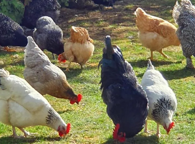 Apartament Thuers Im Busch - Gute Stube - Ab 3 Naechte - Mit Stil In